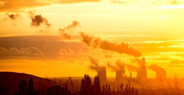 air pollutants from plants and manmade emissions