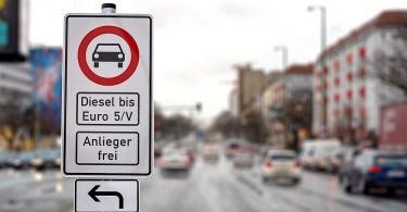 Feinstaub aus dem Straßenverkehr: eine Bedrohung für Pflanzen und Tiere?