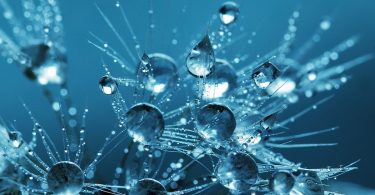 AHK Norwegen unterstützt deutsch-norwegische Wasserstoffkooperation