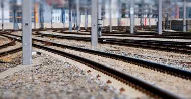 DZSF vergibt über 50 neue Forschungsaufträge