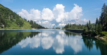 Carbon-neutral “biofuel” from lakes