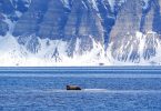 Volvo Penta - Hurtigruten new sustainable tourist vessel