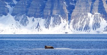 Volvo Penta - Hurtigruten new sustainable tourist vessel