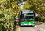 Milan orders 50 more trolleybuses