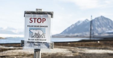 safe.trAIn – KI bremst auch für Polarbären auf den Schienen