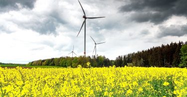 Windenergie-Ausbau: Schwerlasttransport und Infrastruktur vor großen Herausforderungen