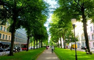 Making cities greener captures – and reduces carbon